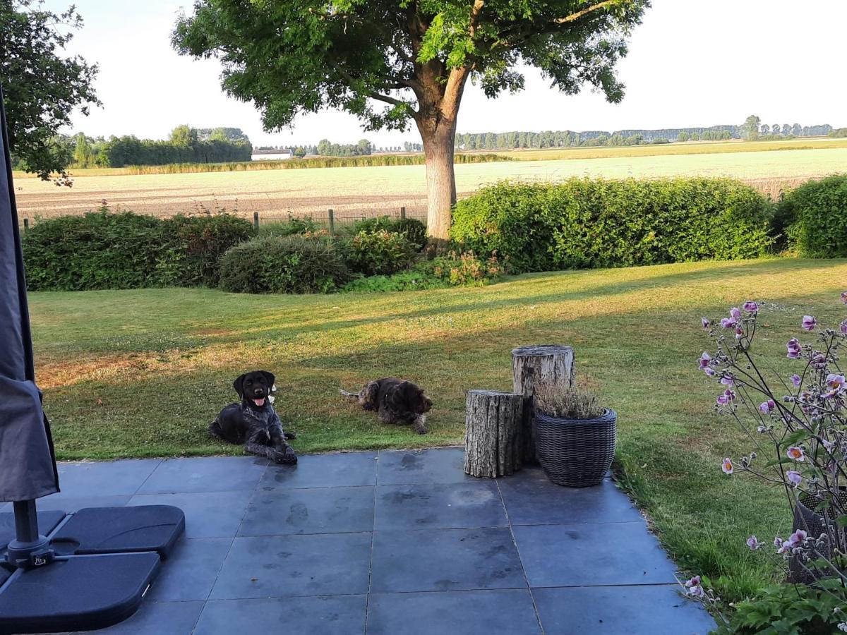 B&B Hieris't Hoofdplaat Buitenkant foto
