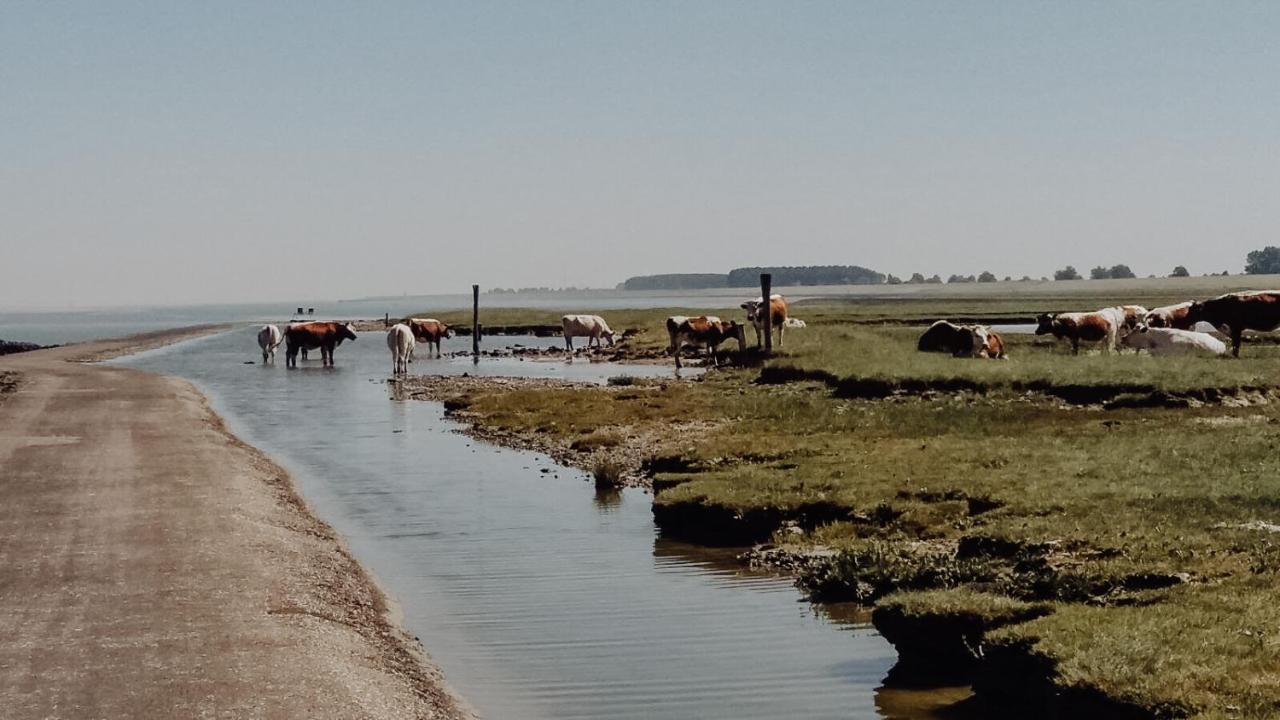 B&B Hieris't Hoofdplaat Buitenkant foto