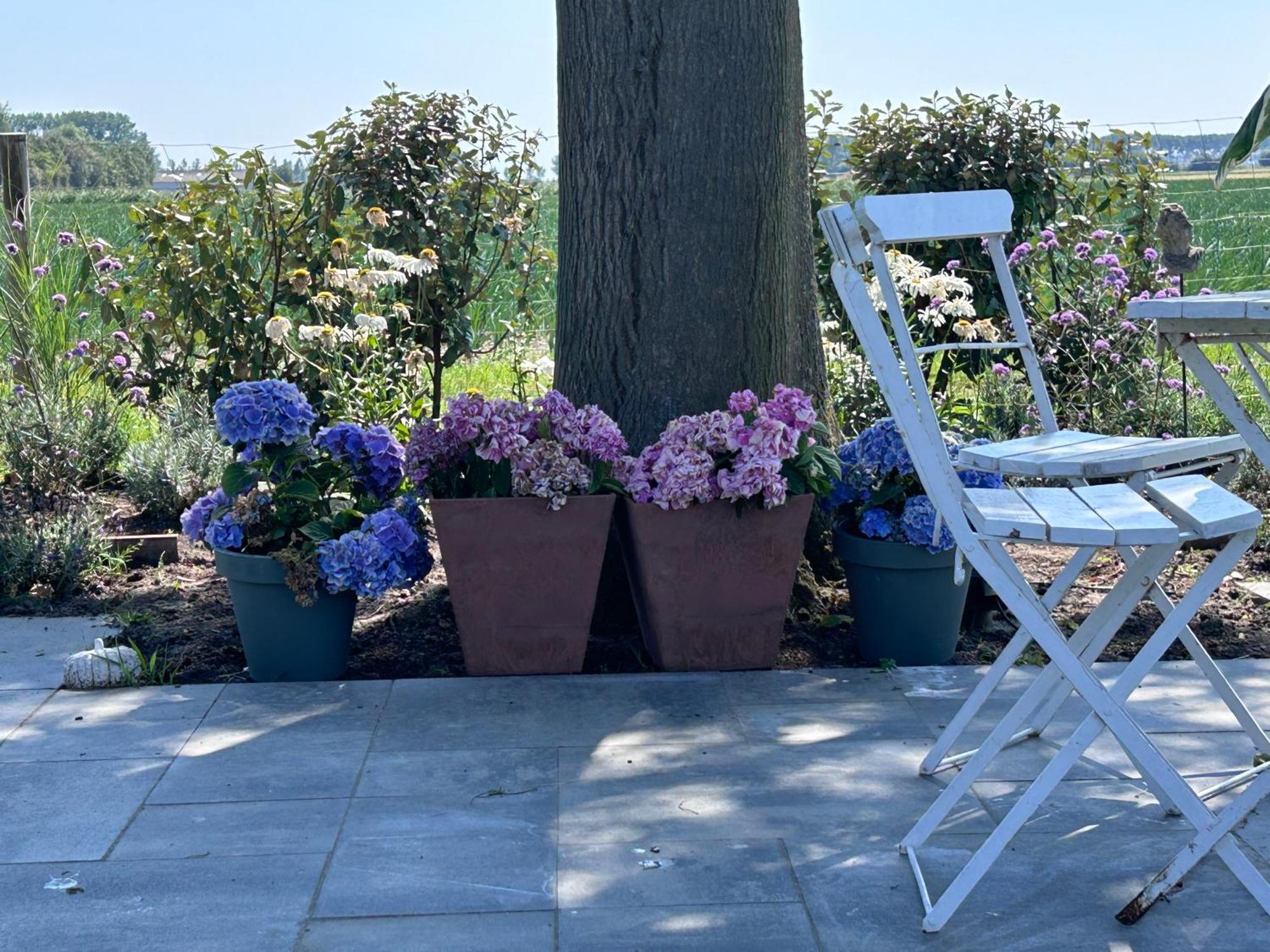 B&B Hieris't Hoofdplaat Buitenkant foto