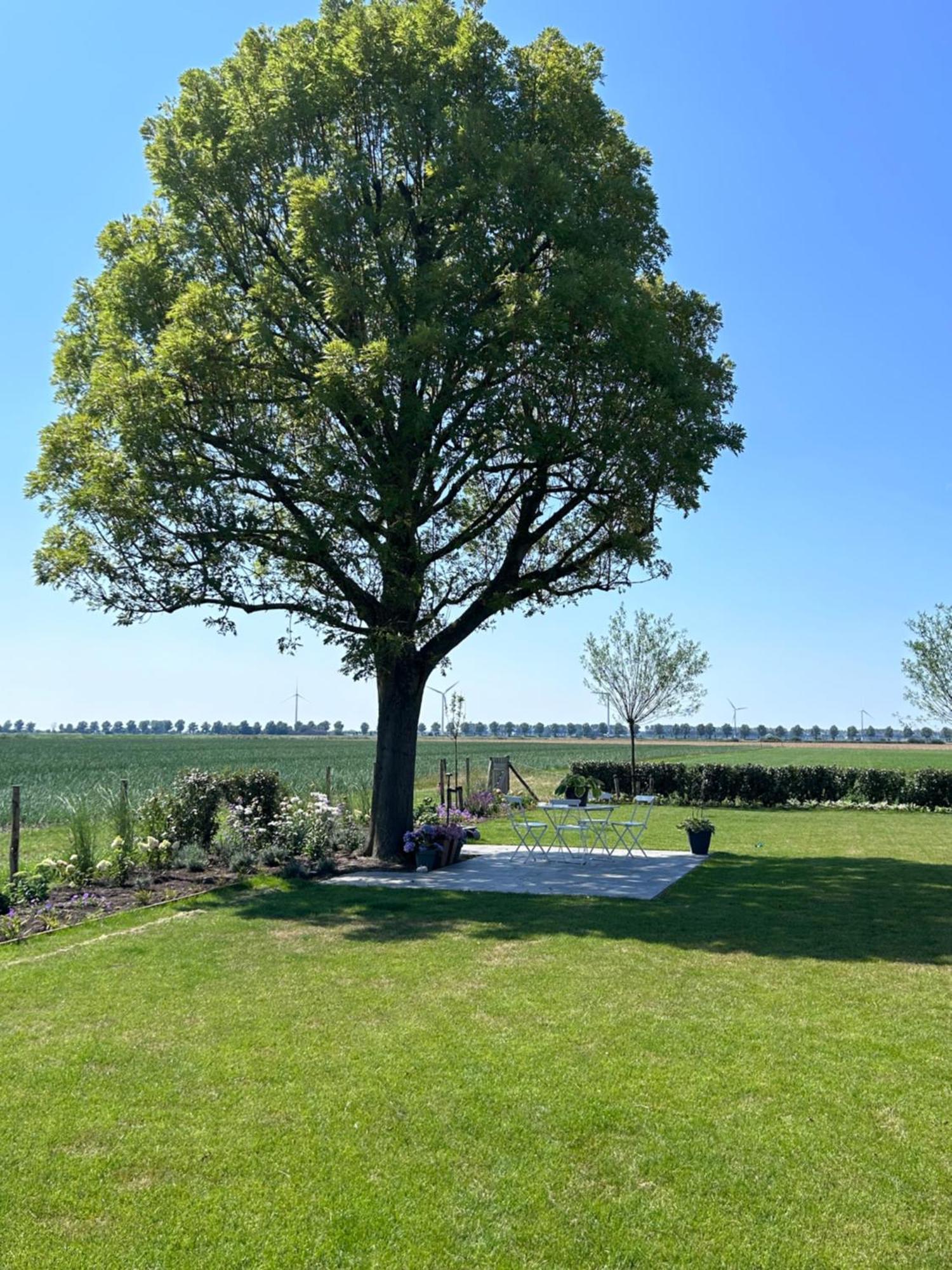 B&B Hieris't Hoofdplaat Buitenkant foto