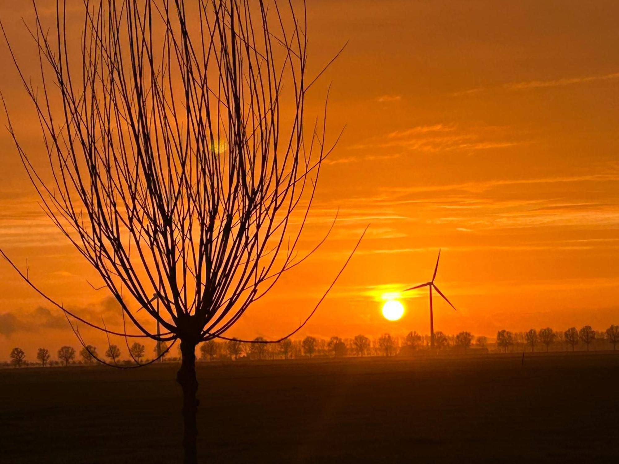 B&B Hieris't Hoofdplaat Buitenkant foto